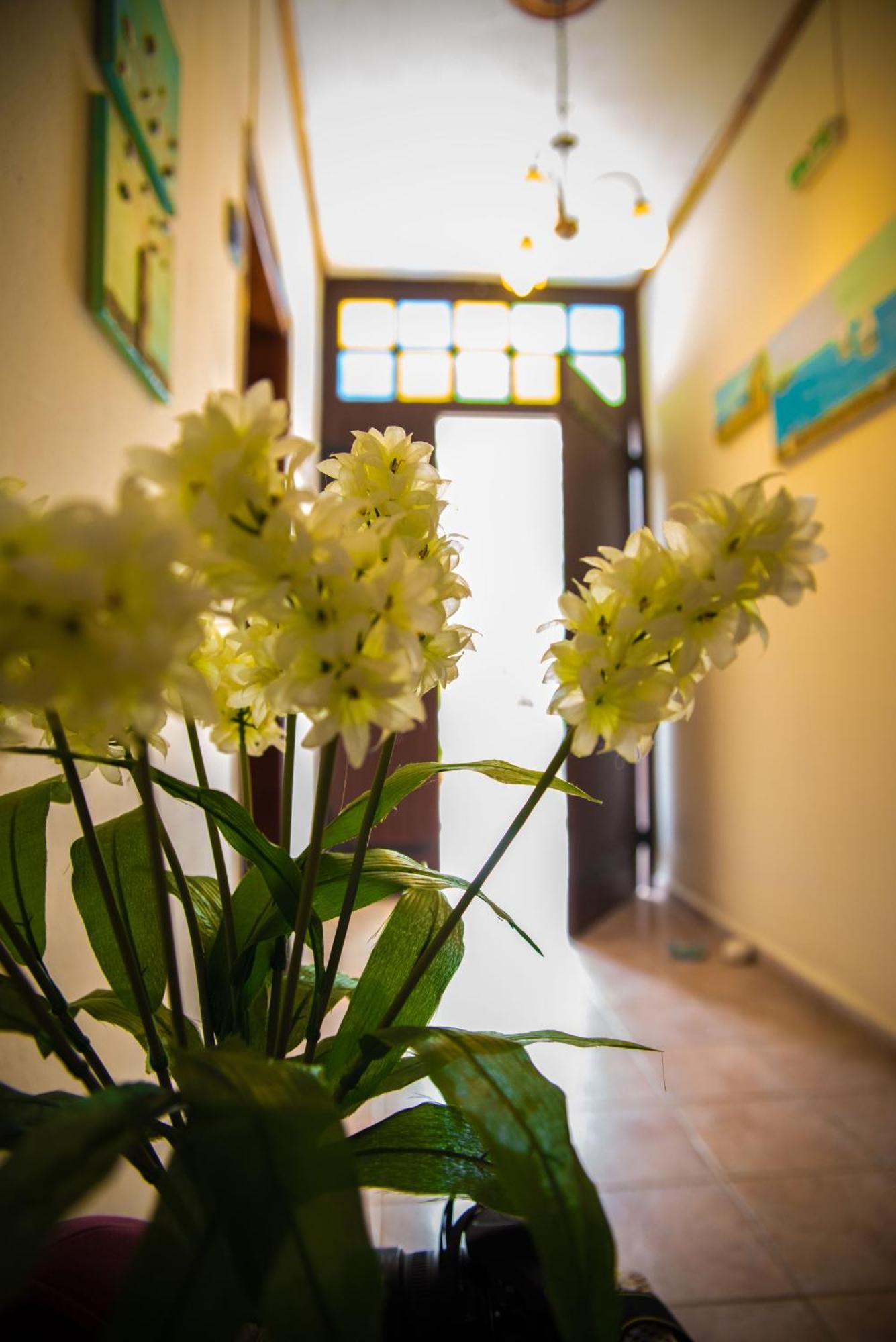 Olga Studios Afissos Room photo
